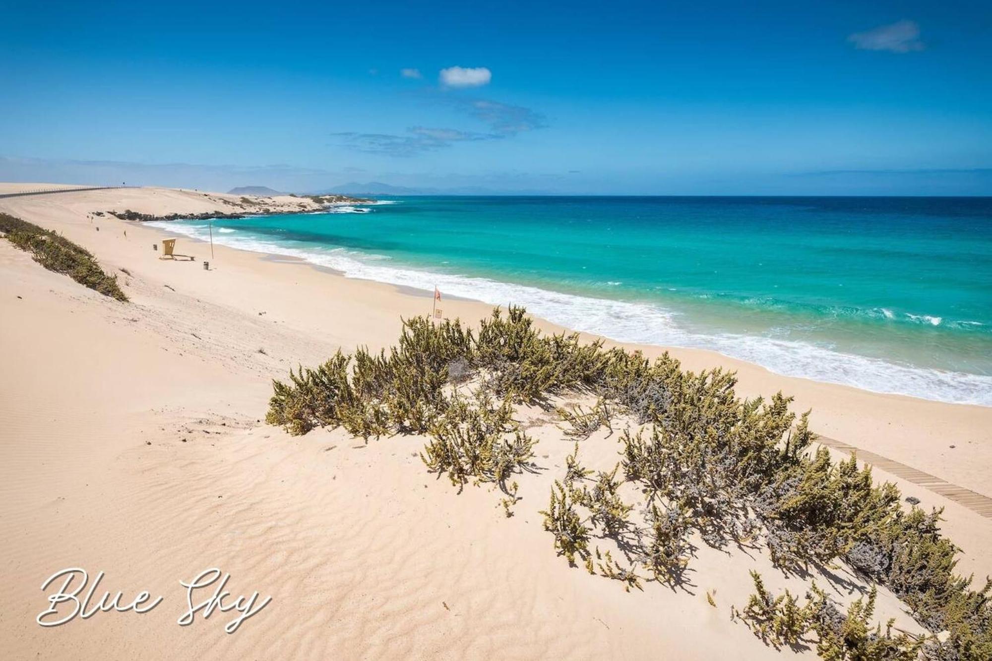 Corralejo Sun 335 Blue Sky By Rentalfue المظهر الخارجي الصورة